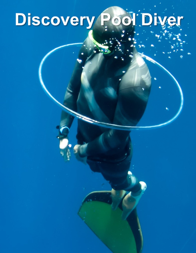 Discovery Pool Diver